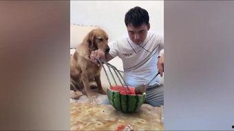 妞妞在吃瓜,揭秘娱乐圈幕后故事