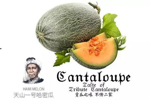 一号吃瓜,揭秘娱乐圈背后的那些事儿