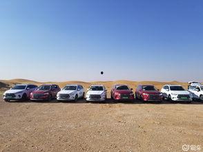 安徽阜南比亚迪吃瓜,揭秘背后真相与争议  第3张