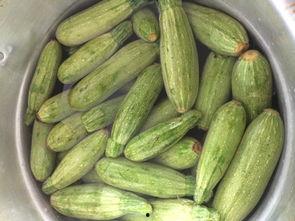 小角瓜怎么切块吃,轻松解锁美味新吃法  第2张