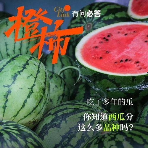 民众喜欢吃瓜
