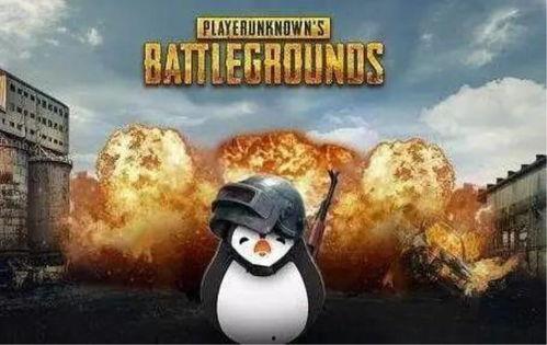 瓜仔瞬间吃鸡,揭秘游戏高手瞬间制胜秘诀