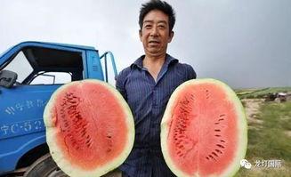 温差吃瓜,吃瓜解暑新风尚