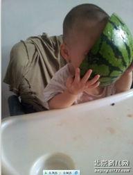 周渝民吃瓜,娱乐圈的“瓜田”又添新料