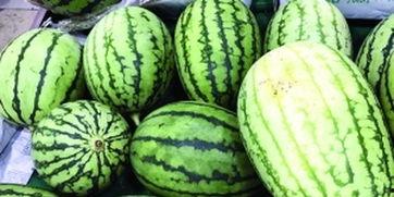 怎样快速吃瓜比赛,揭秘怎样快速吃瓜比赛的高手技巧  第2张