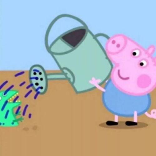 小猪吃瓜情侣头像,小猪情侣头像演绎浪漫爱情故事  第3张