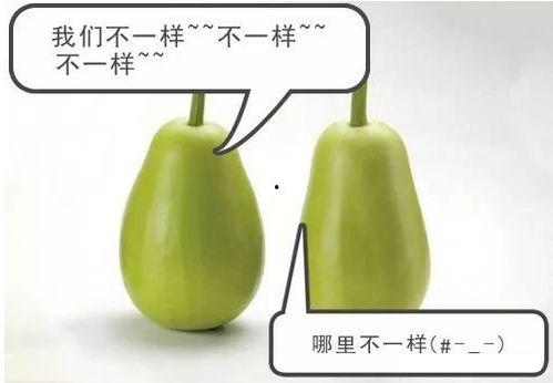 安缘吃瓜,揭秘娱乐圈背后的那些事儿