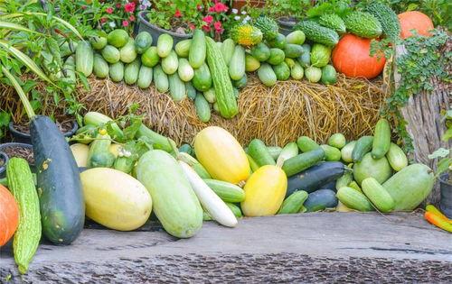 夏季吃三瓜是哪三瓜呢,三瓜养生攻略