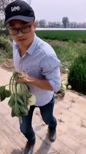 吃瓜的帅小哥,揭秘娱乐圈幕后故事