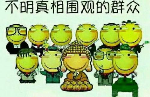 十二太保吃瓜群众,揭秘吃瓜群众的狂欢盛宴  第2张