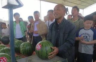 十二太保吃瓜群众,揭秘吃瓜群众的狂欢盛宴  第3张