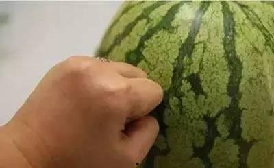 梦见吃西瓜分瓜,揭秘吃西瓜分瓜的寓意与象征