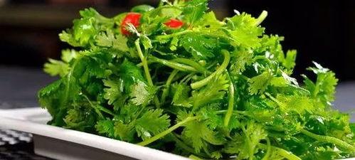 香菜很会吃的瓜,舌尖上的美味探险