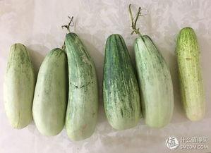 假装吃瓜动作,解锁夏日趣味瞬间